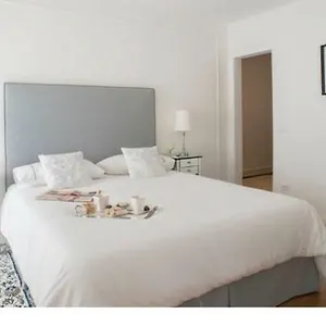 Apartment The Golden Tree, Florence